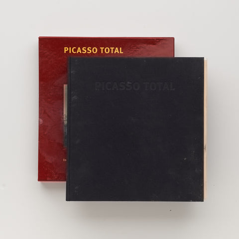 'Erase Emerge' Pablo Picasso 'Erase Emerge' Pablo Picasso