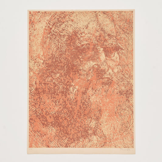 Nº8 - "Fem l'home a la nostra imatge..."