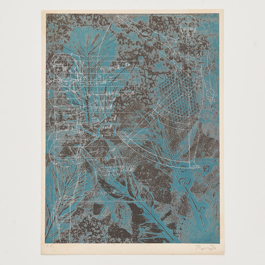 Homenatge a Albrecht Dürer I