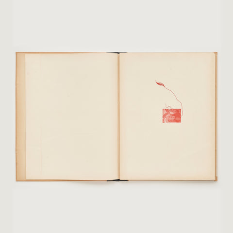 Granollers, fulla baixa Granollers, fulla baixa