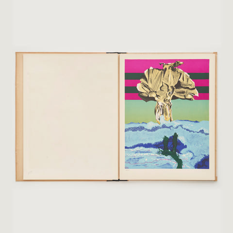 Granollers, fulla baixa Granollers, fulla baixa