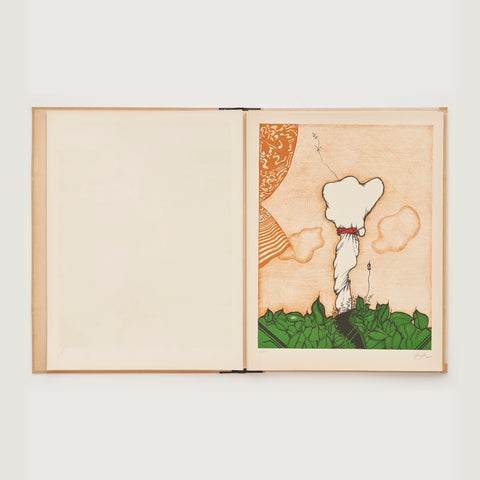 Granollers, fulla baixa Granollers, fulla baixa