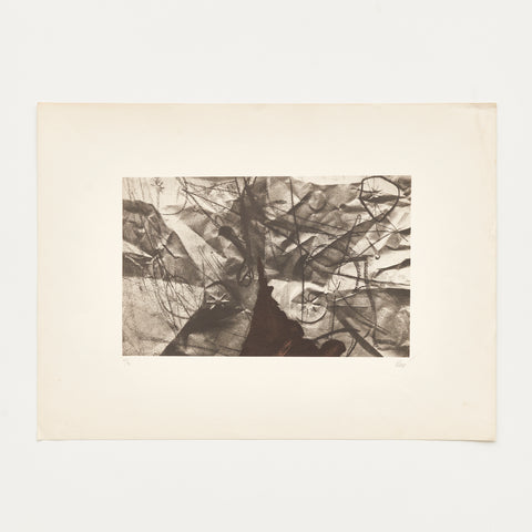 La gloire de rois 1977 La gloire de rois 1977