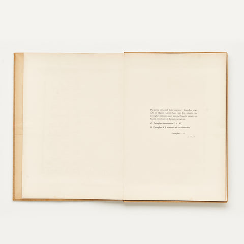 Poemas y litografías Poemas y litografías