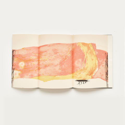 Morning Night Morning Night