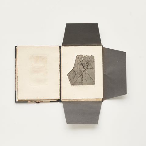 Planimetrías 103 Planimetrías 103